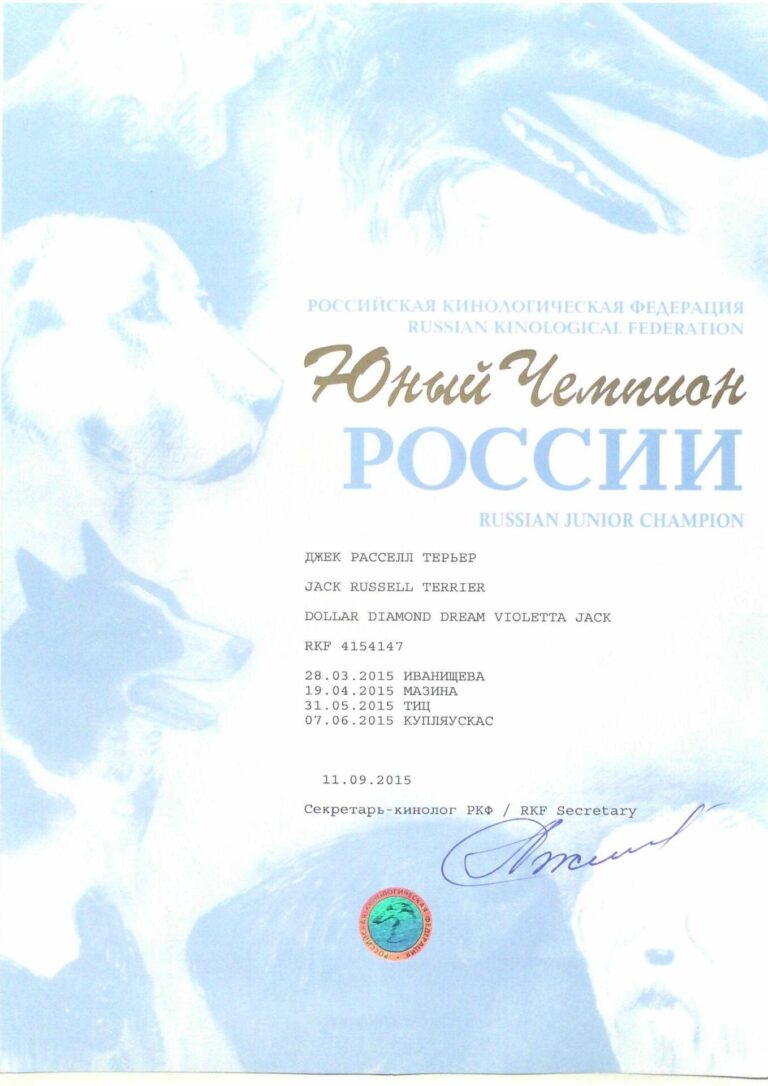 01 — диплом