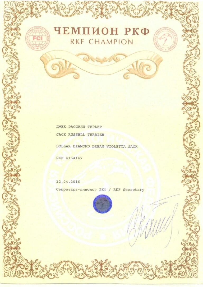 03 — диплом