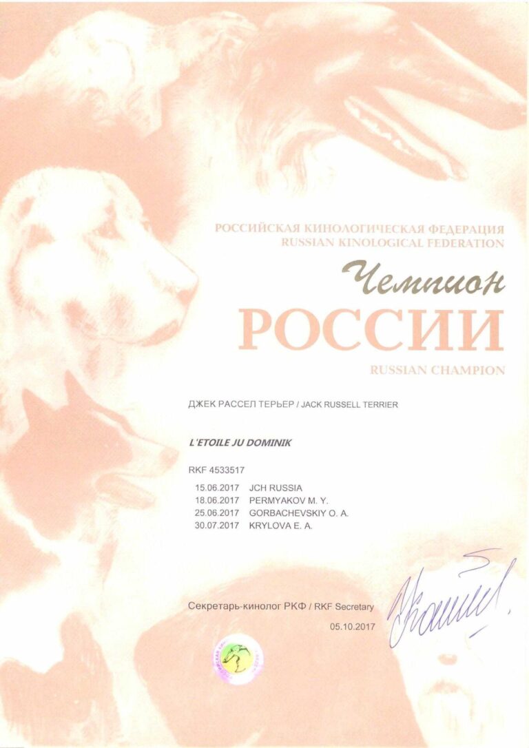 03 — диплом