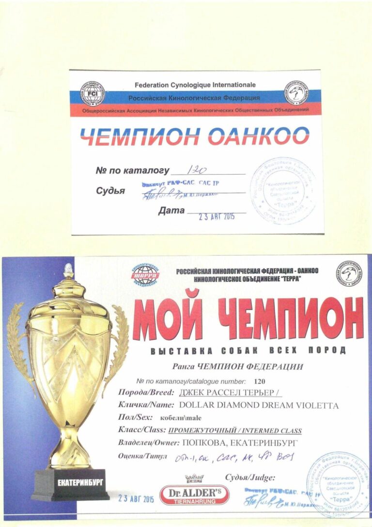 05 — диплом