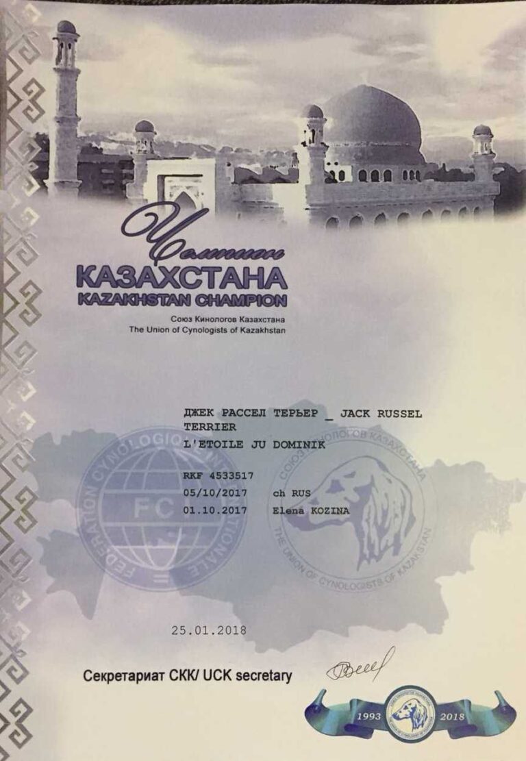 05 — диплом